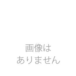 東芝(TOSHIBA)   14畳 クラス 200V  RAS-4067V 【送料無料】